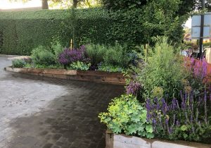 After Planting in June 2018