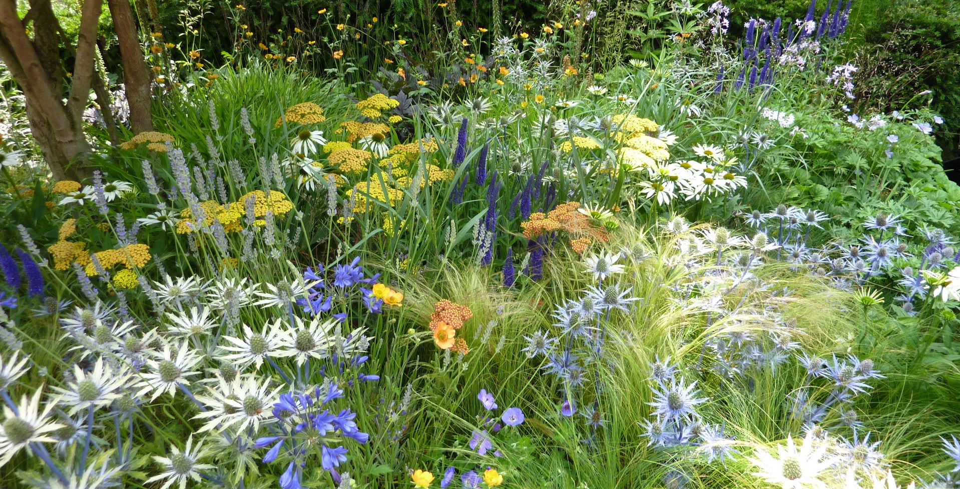 RHS Hampton Court Palace Garden Festival 2025