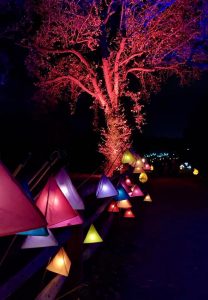 Wakehurst Glow Wild lanterns
