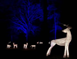 Illuminated lantern deer at Wakehurst