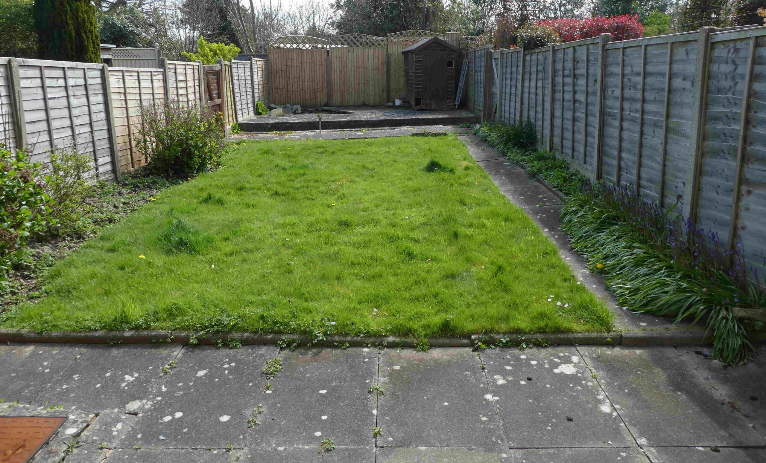 Image of a garden before a redesign