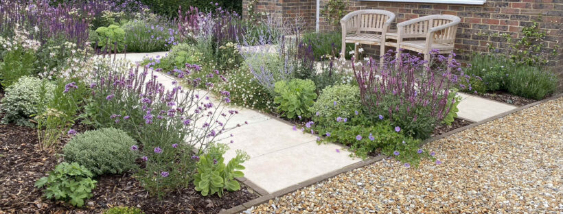 Front Garden image with planting borders