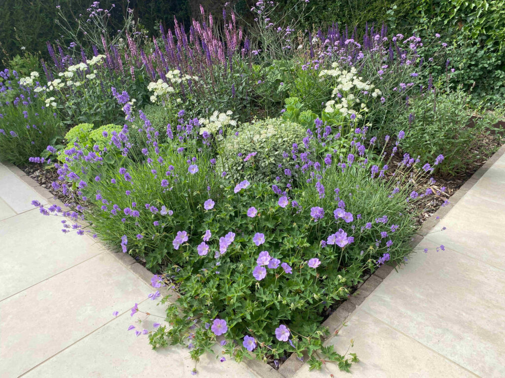 Front Garden image with planting borders