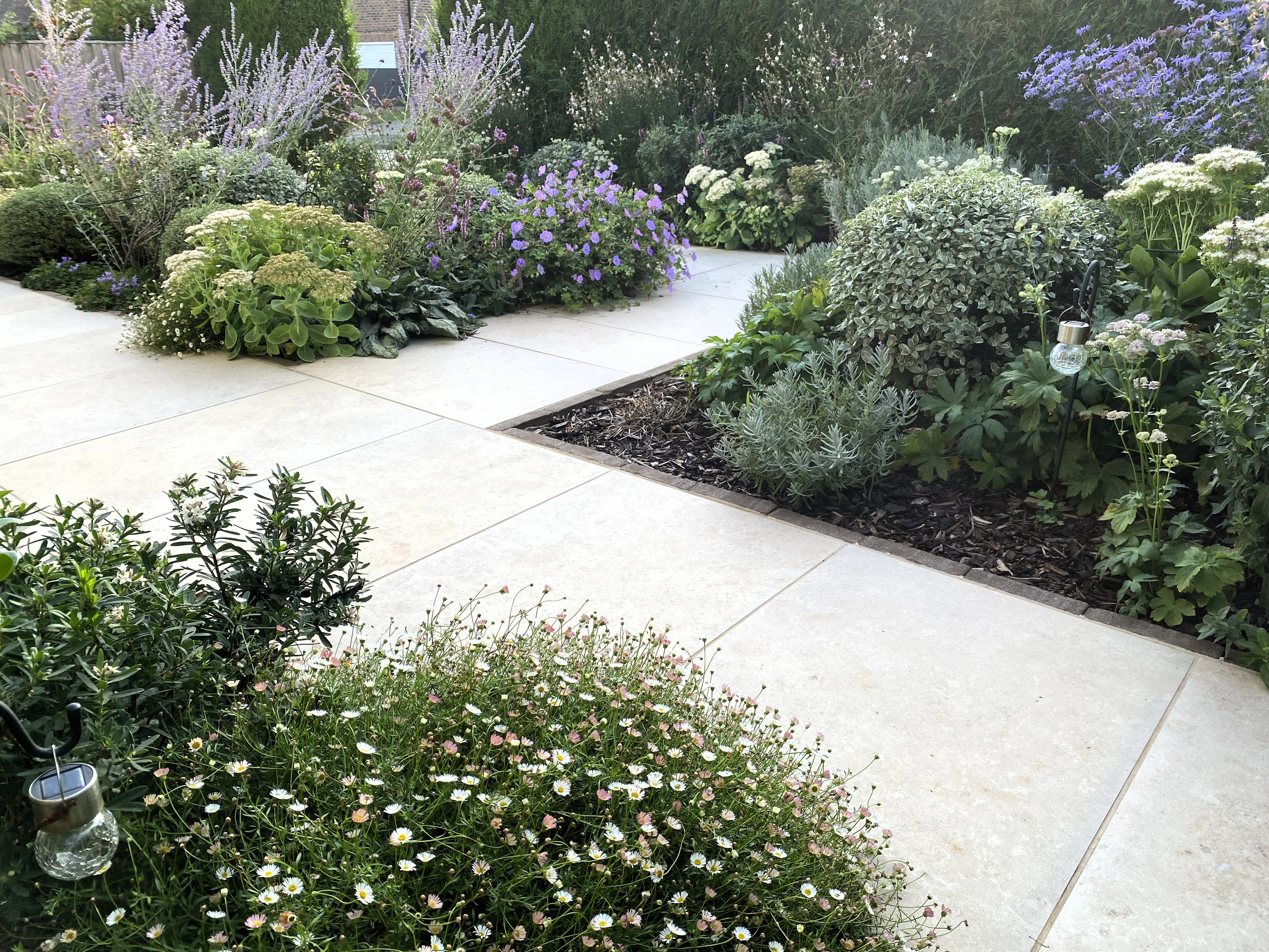 Front Garden Border